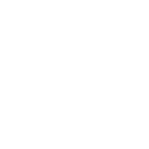 La Caja de Ahorro y Seguro